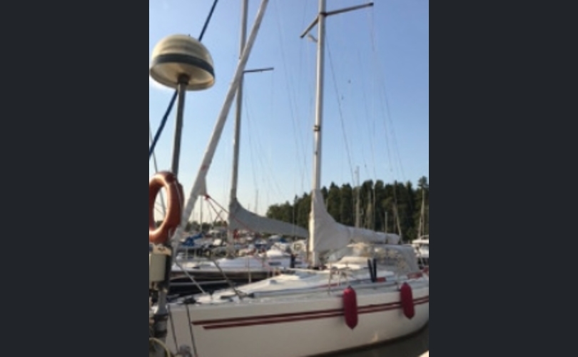 Finngulf Seaking-kuva-6